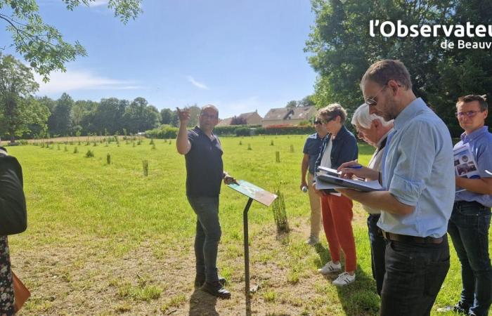 2° fiore, premi speciali… La tripletta vincente dell'Agglo aux Villages fleurs 2024 de l'Oise