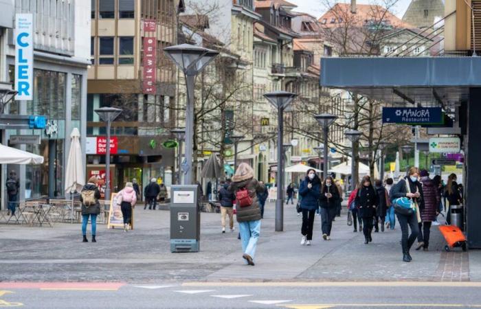 Friburgo: arrestati in flagranza di reato due borseggiatori