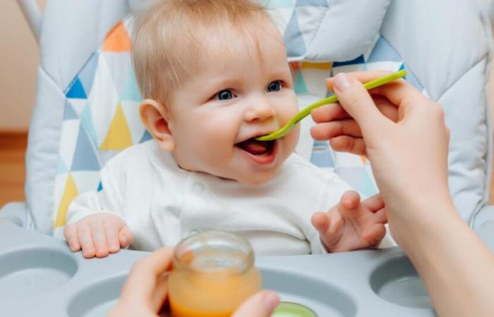 Attenzione! Questo prodotto Blédina baby è oggetto di un richiamo nazionale perché potrebbe rivelarsi pericoloso per la salute