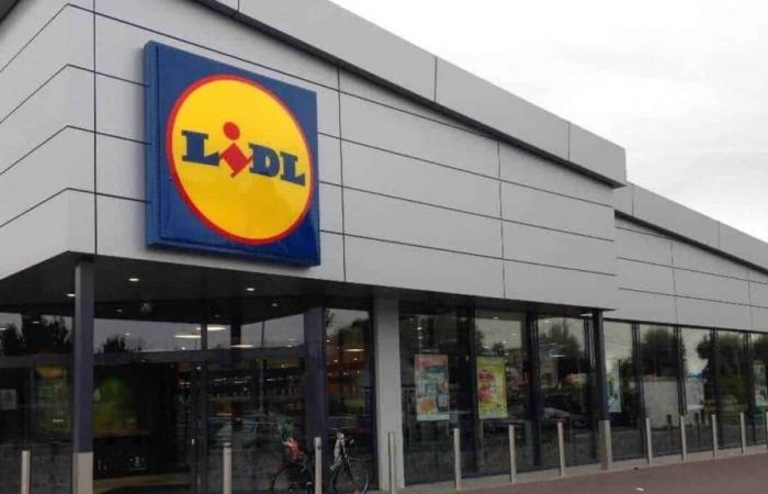 LIDL ha trovato la soluzione low cost per combattere il freddo di quest'inverno