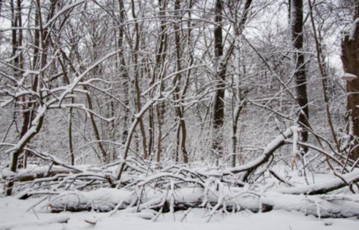 Il 1° dicembre inizia l'inverno meteorologico: ecco le caratteristiche di questa stagione in Francia