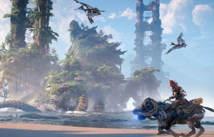 Questa copia di Horizon Zero Dawn sta solo implorando che Sony faccia causa