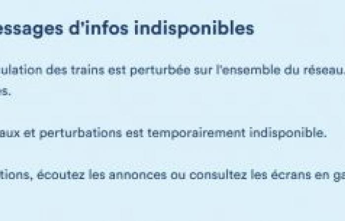 Ritardi e cancellazioni, la rete della SNCB in disordine su tutto il Paese: “Consigliamo ai pendolari di restare attenti”