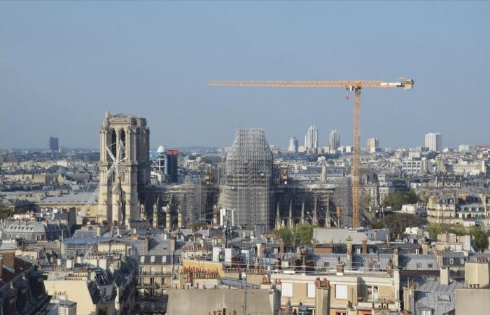 Due imprese della Seine-et-Marne responsabili del rilancio della cattedrale Notre-Dame de Paris – Comunicati stampa – Sala stampa – Notizie