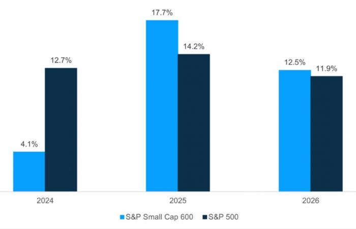 L’annunciato rimbalzo delle small e mid cap americane