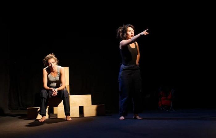 Uno spettacolo teatrale che unisce Israele e Palestina a La Coquille