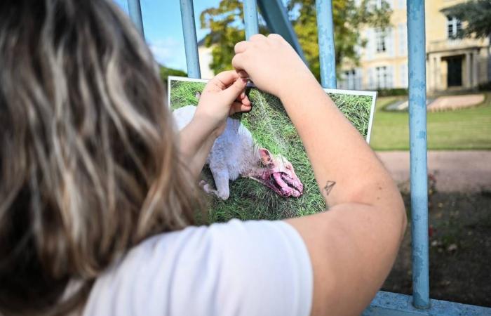 L'USON sfida Dax, il nostro resoconto a La Maison dopo le inondazioni, la chiusura del pronto soccorso di Decize… Le notizie da ricordare di questo venerdì