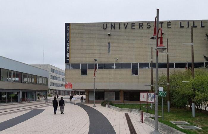 Di fronte alla mancanza di sostegno da parte dello Stato, l'Università di Lille organizza martedì 3 dicembre una “giornata universitaria morta”