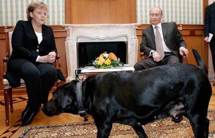 17 anni dopo, Putin ripensa al momento in cui ha spaventato la Merkel con il suo cane