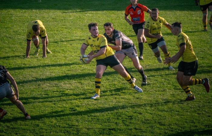 Rugby: gli anziani dell'RCBM giocheranno l'ultima partita dell'andata questo fine settimana