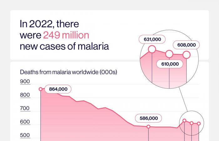 La lotta alla malaria in cinque grafici