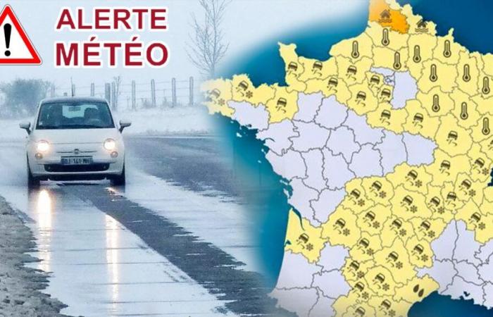 54 dipartimenti in allerta e minacciati da gelate eccezionali questo fine settimana