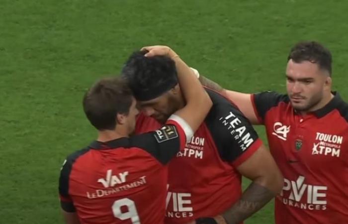 Lo Stade Toulousain vince a Créteil, La Rochelle schiaccia i neopromossi, i nostri pronostici per l'undicesima giornata della Top 14