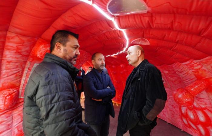 Uno sguardo alla giornata di sensibilizzazione sul cancro e di promozione della salute