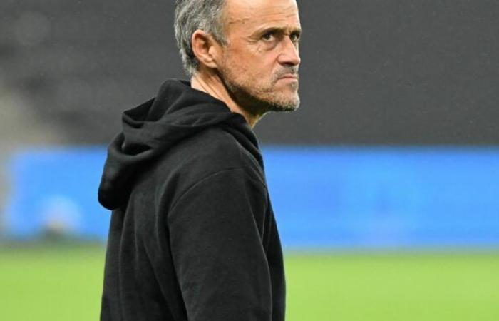 Christophe Dugarry: “Conoscevo questo tipo di allenatore, con Louis Van Gaal. Quel ragazzo è così convinto di essere un genio…”