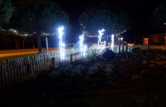 La nostra selezione di cinque idee per uscire nella penisola di Guérande o nella regione di Saint-Nazaire