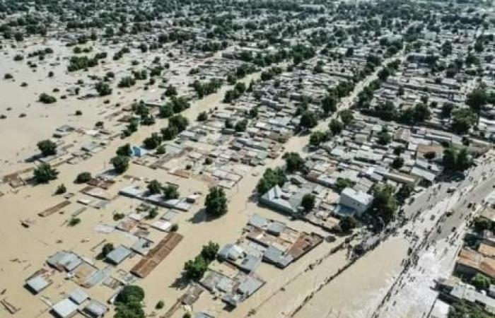 Sono necessari fondi per studiare l’impatto dei cambiamenti climatici sulla salute, avvertono i ricercatori europei