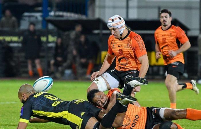 Rugby – Derby Carcassonne-Narbonne in Nazionale: “Come Thibault Clauzade, una difesa imperiale dell'RCN”, lancia l'allenatore del Narbonne Julien Seron dopo la vittoria