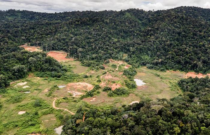 La tutela dell’ambiente ha avuto la meglio sul progetto della miniera industriale Montagne d’Or in Guyana