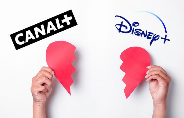 Gli abbonati a Canal+ possono dire addio a Disney+ e a un sacco di canali TV