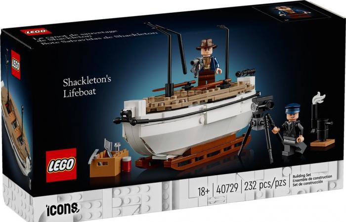 Promozioni LEGO Black Friday 2024 in tempo reale sul LEGO Shop