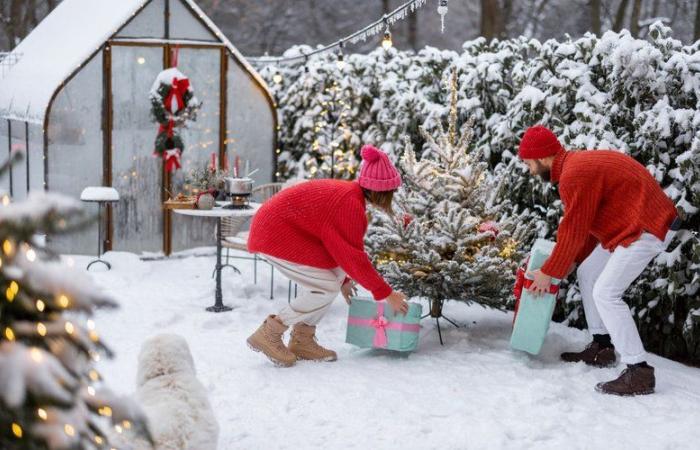 Ci sarà neve a Natale in Francia quest'anno? Scopri le tendenze meteorologiche più probabili per il 24 e 25 dicembre