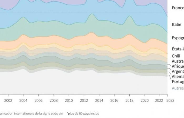 Produzione mondiale di vino prevista al minimo dal 1961, minata dal maltempo: News