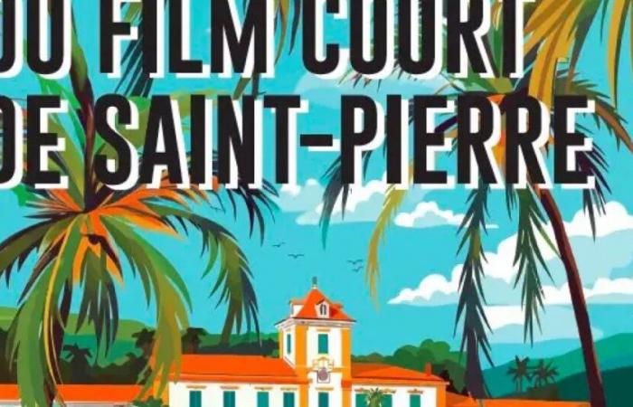 Reunion: più di cinquanta cortometraggi internazionali proiettati alla 9a edizione del festival del cortometraggio di Saint-Pierre