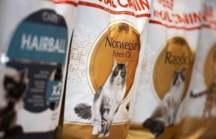 Nonostante l’esplosione del mercato degli alimenti per cani e gatti, Royal Canin taglierà posti di lavoro nella sua fabbrica Aimargues a Gard