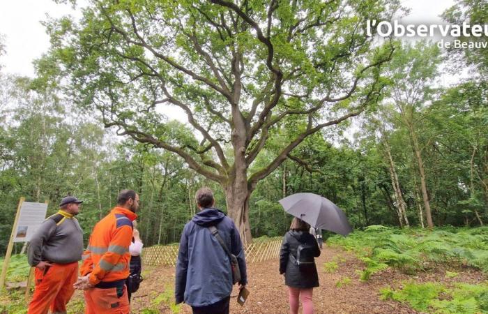 2° fiore, premi speciali… La tripletta vincente dell'Agglo aux Villages fleurs 2024 de l'Oise