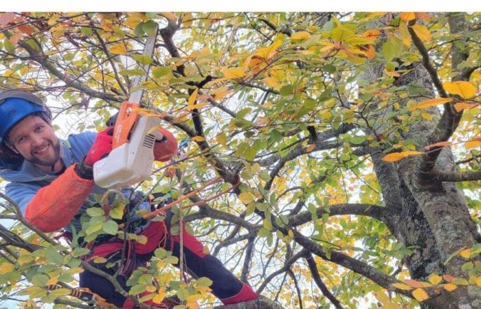 Saint-Avè. Potare “l’albero affinché rimanga sano”