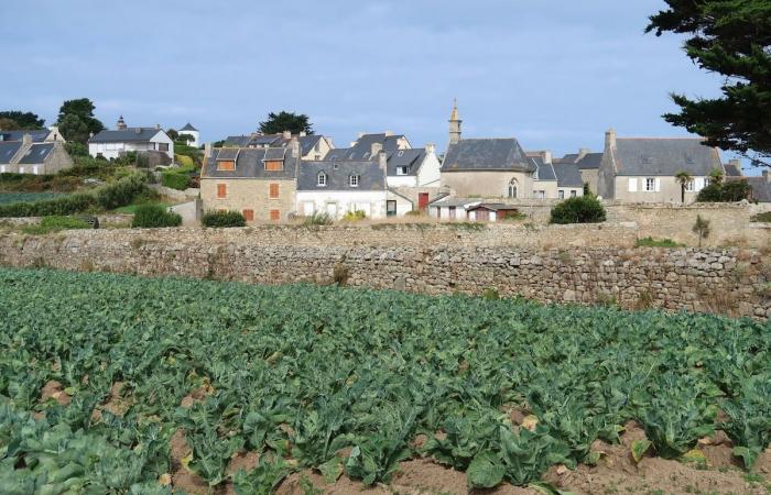 Un nuovo direttore di dipartimento al Crédit Mutuel de Bretagne per il Finistère