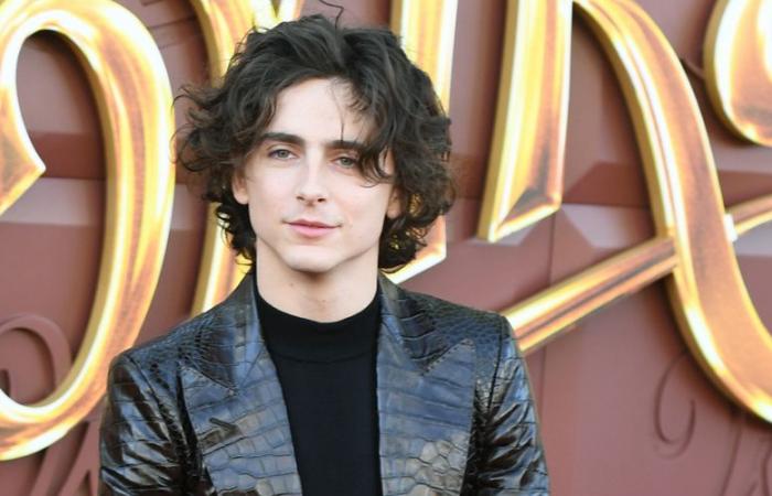 Timothee Chalamet rivela 2 grandi film per cui ha fatto il provino ma non ha prenotato e spiega cosa è andato storto | audizioni, Casting, Film, Timothee Chalamet | Just Jared: notizie e pettegolezzi sulle celebrità