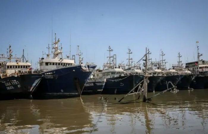 Pesca illegale in Senegal: il ministro Fatou Diouf assicura che sono in corso sforzi per migliorare la tracciabilità e la trasparenza – VivAfrik