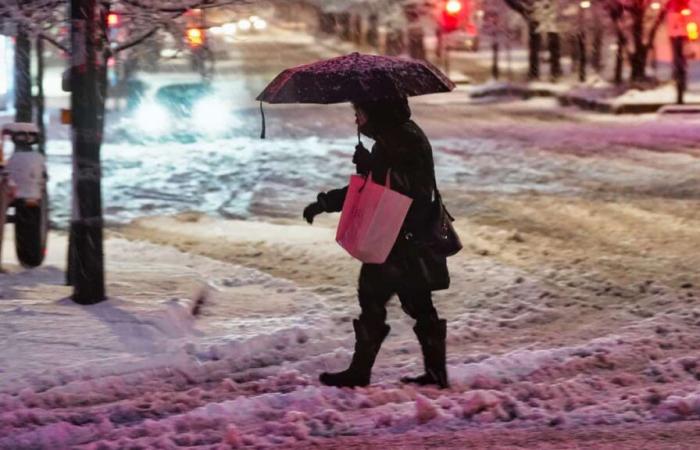 Fino a 10 centimetri di neve in alcune zone del Quebec orientale