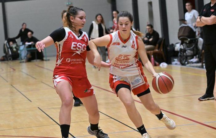 Basket amatoriale – Nazionale 3 femminile: uscita pericolosa nelle Landes per l’Auch BC