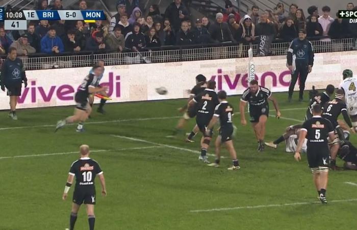 Pro D2 Brive – Montauban: il resoconto della partita