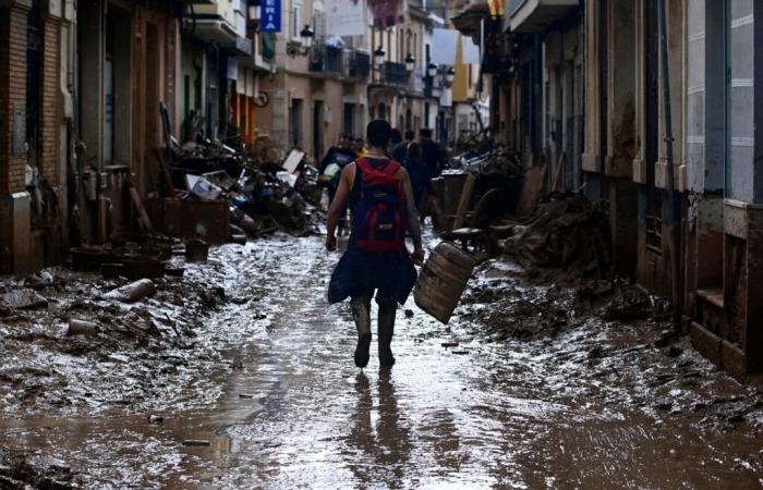 cos’è il “congedo retribuito per il clima” approvato dal governo?