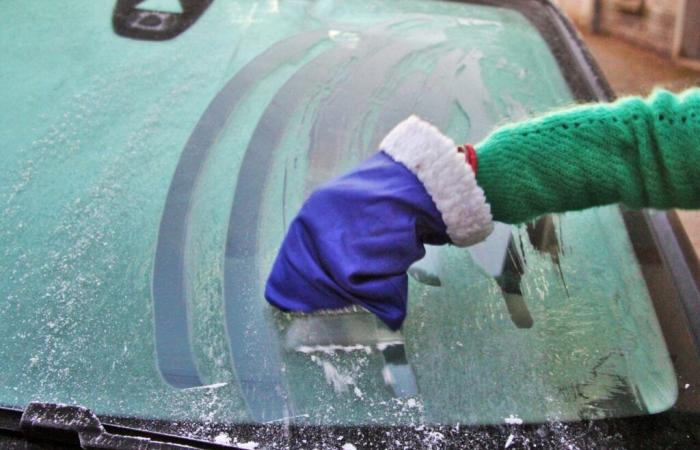 Nuove gelate previste nell'Oise questo fine settimana, ecco le previsioni di Météo France