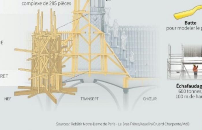 Il mondo riscopre Notre-Dame, Macron prevede “uno shock di speranza”: News