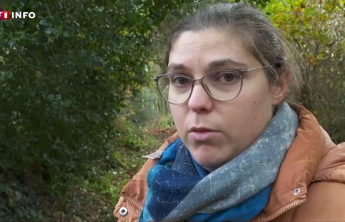 “Vogliamo davvero che tu ritorni”: la telefonata della madre di Morgane, 13 anni, scomparsa da lunedì vicino a Guingamp