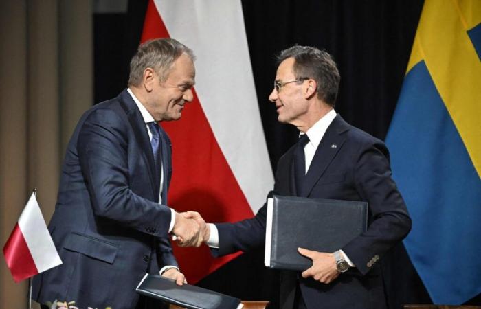 La Polonia si rivolge ai paesi nordici e baltici per unirsi contro la Russia