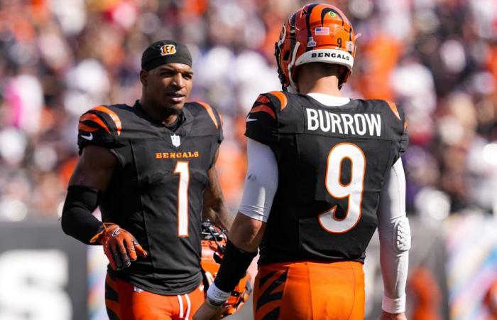 Cincinnati Bengals | Anatomia di una caduta