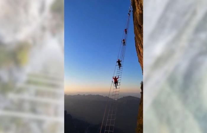 VIDEO. Più di 1.000 persone al giorno: perché tanti turisti vogliono salire su una scala situata a più di 1.500 m da terra?