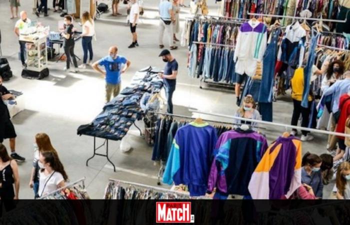 Incontro con Saint-Nicolas a Namur, il più grande mercato vintage del Belgio, spettacolo di luci… Cosa facciamo questo fine settimana?