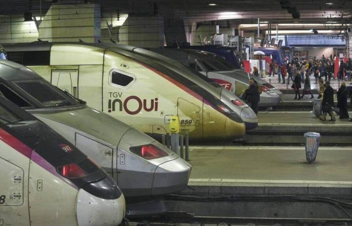 Una persona muore dopo essere stata investita da un TGV nei pressi di Le Mans