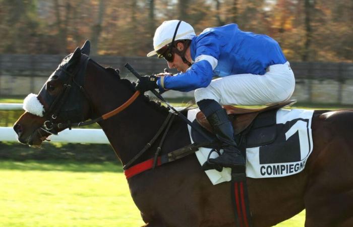 Cœur d’Amour come puledro di classe nel Prix Général de Saint-Didier