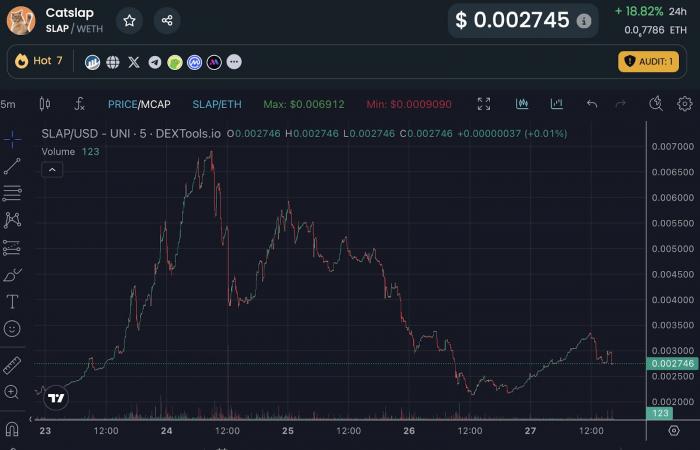 I prezzi di Popcat e Dogwifcat stanno crollando: le nuove ICO sfidano la tendenza al ribasso