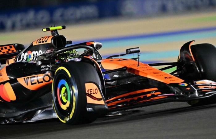 Gran Premio F1 del Qatar: la griglia di partenza della gara sprint con Norris in pole