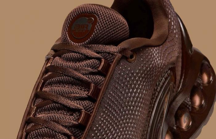 Nike Air Max Dn Cioccolato Leggero HQ3837-200